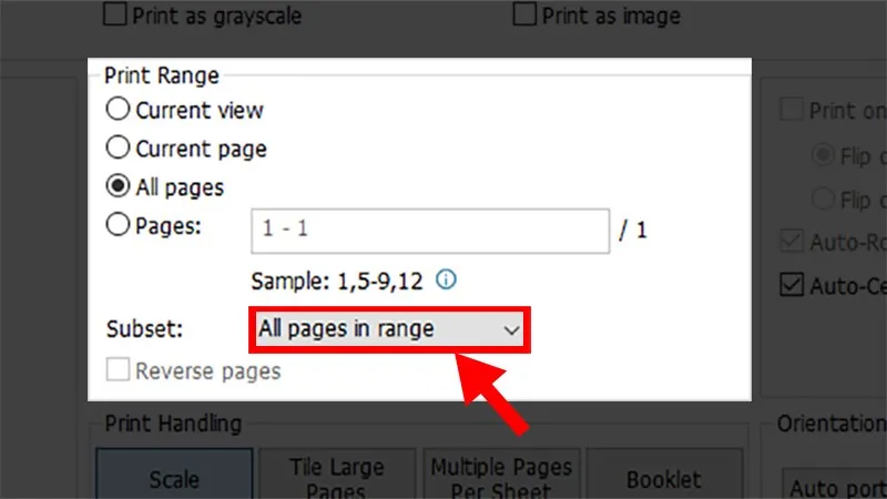 in 2 mặt file pdf