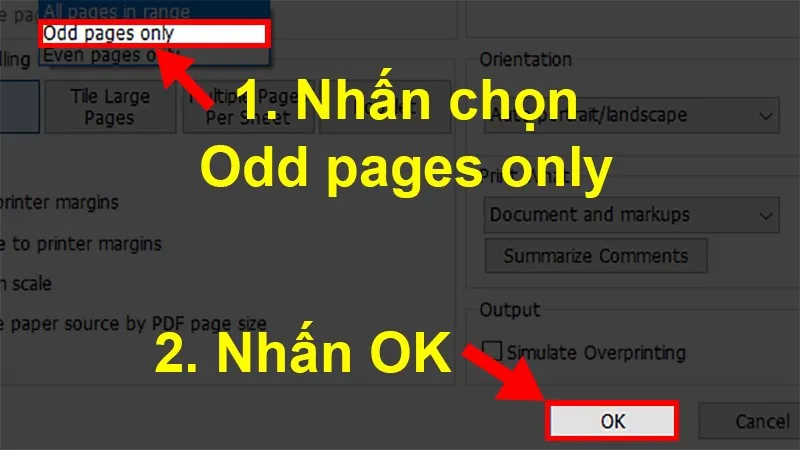 in 2 mặt file pdf