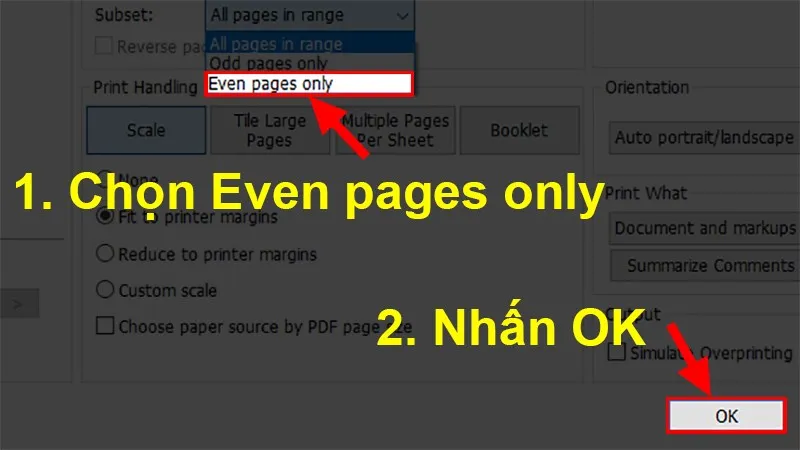 in 2 mặt file pdf
